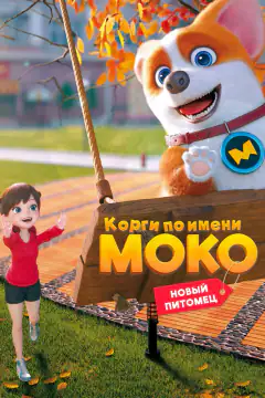Корги по имени Моко. Новый питомец