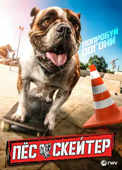 Пес-скейтер