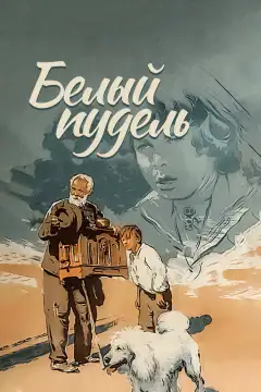 Білий пудель