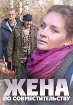 Дружина за сумісництвом