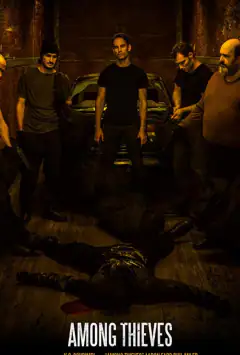 Среди грабителей