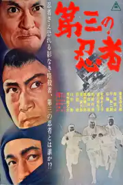 Третий ниндзя