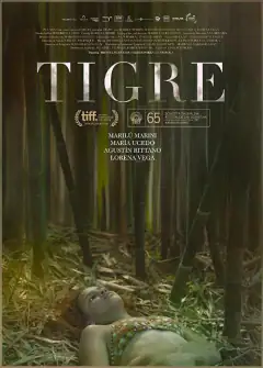 Тигр