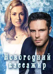 Новогодний пассажир