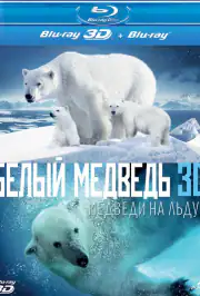 Полярные медведи