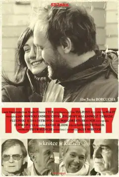 Тюльпани