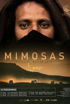 Мімози