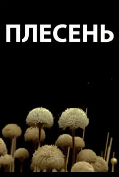 Пліснява