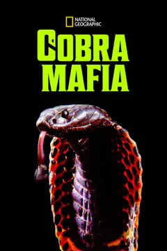 Мафия кобр