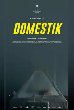 Домашній режим