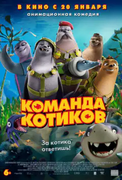 Команда котиків