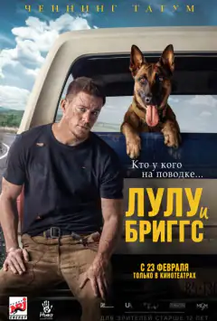 Дог