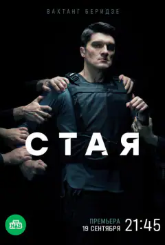 Зграя