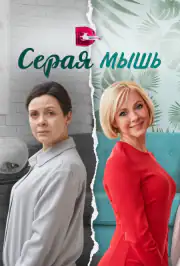 Серая мышь