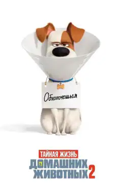 Секрети домашніх тварин 2