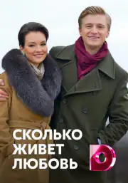 Сколько живет любовь