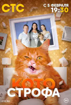 Котастрофа