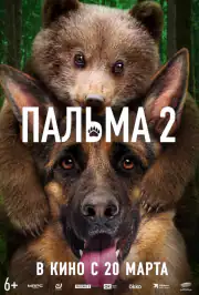 Пальма 2
