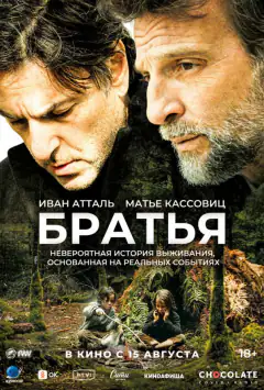 Брати