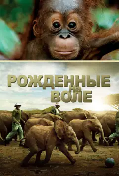 Народжені бути вільними