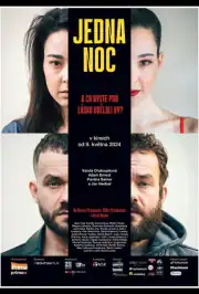 Одна ночь