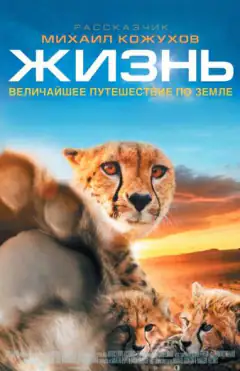 Жизнь