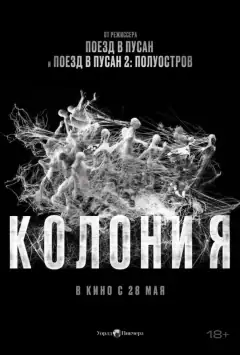 Колония