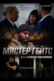 Мистер Гейтс