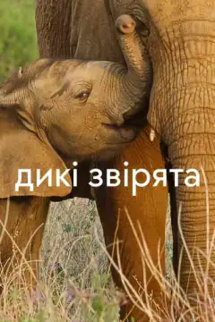 Wild Babies