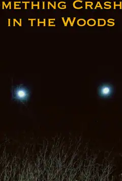 Аварія в лісі