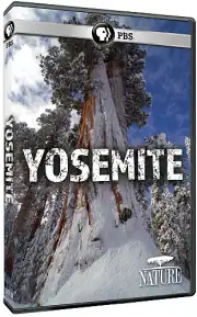 Nature: Yosemite