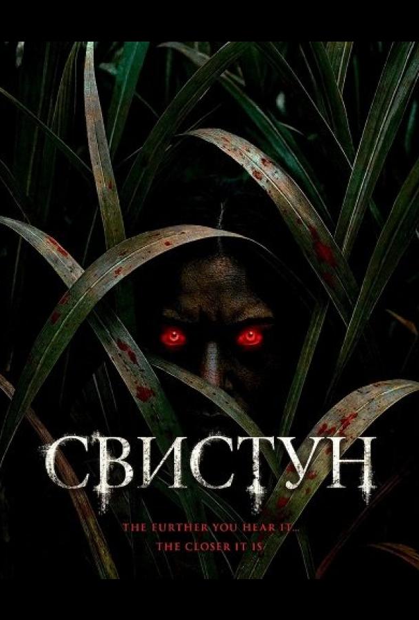 Свистун